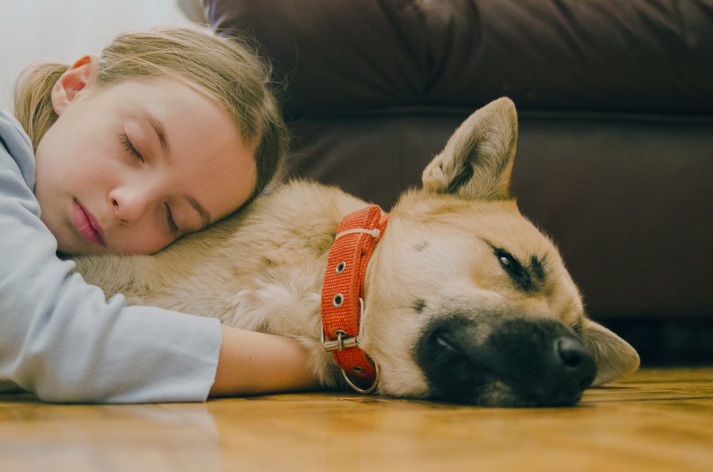 convivenza sicura cani bambini