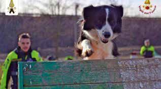 cani amatrice