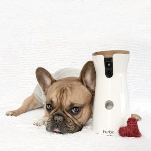 Furbo, la videocamera per interagire con il tuo cane