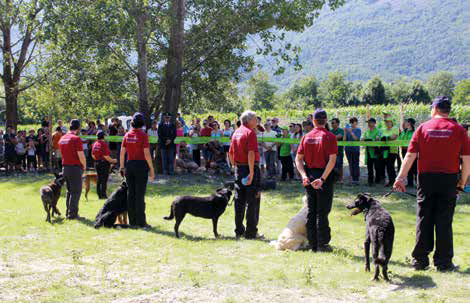 canile val di susa