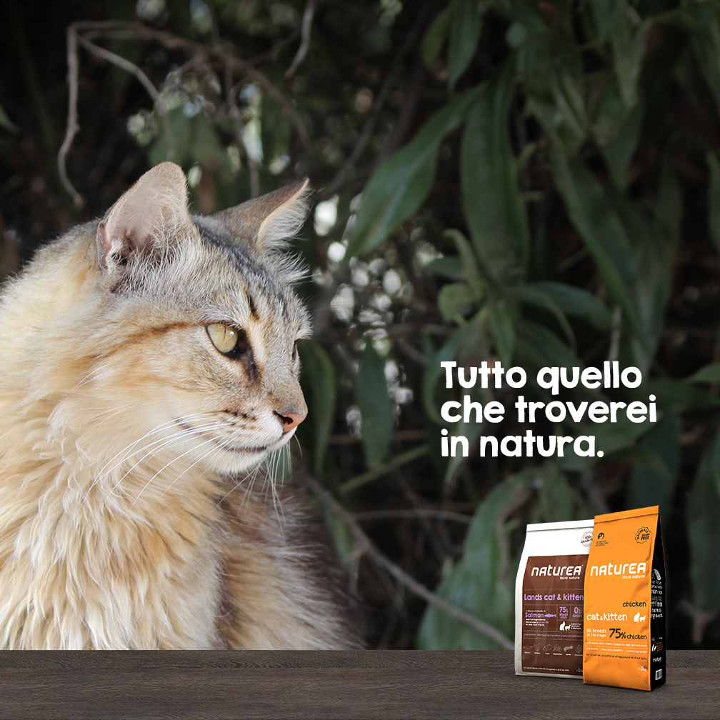 Nutrizione naturale per cani e gatti