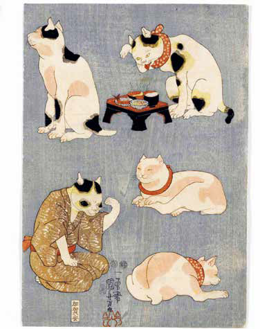 gatti giapponesi