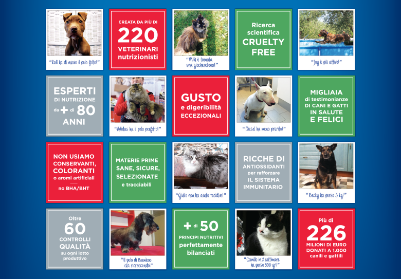 Pasti in dono per cani e gatti dei rifugi APAR