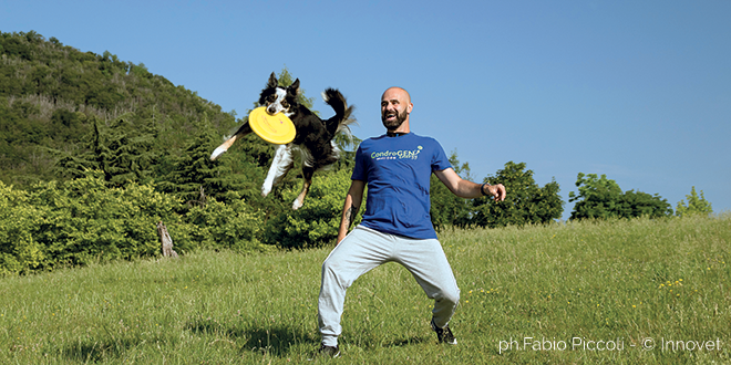 La salute articolare nei cani sportivi