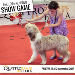 Quattrozampeinfiera a Padova l'11 e il 12 novembre