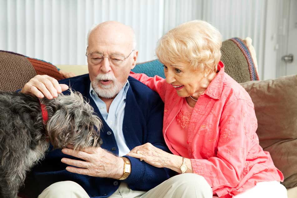 il cane allunga la vita