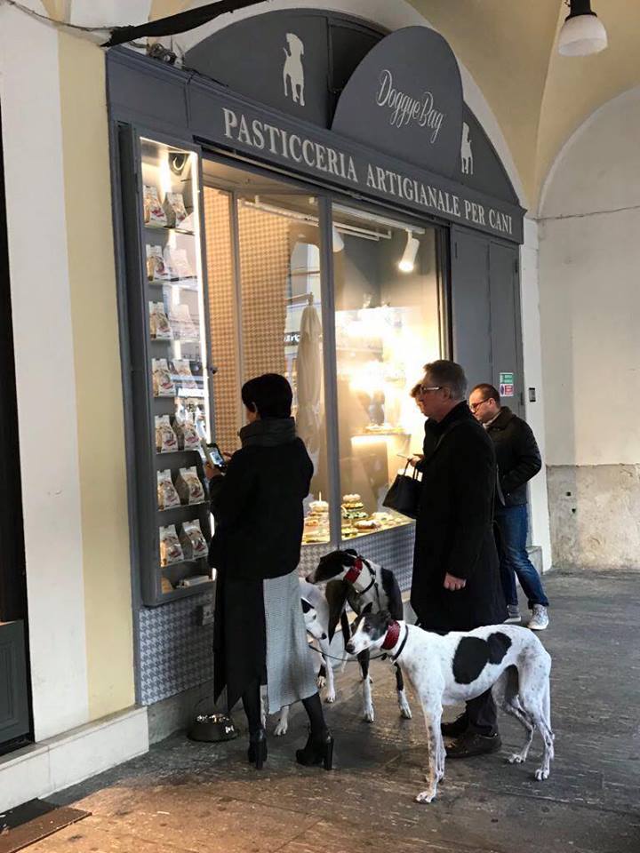 A Brescia la prima pasticceria per cani