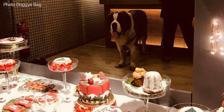 A Brescia la prima pasticceria per cani