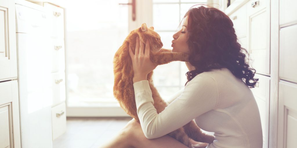 Le origini del gatto risalgono al Neolitico