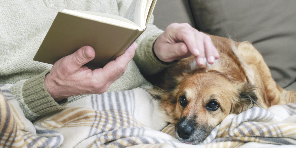 Come curare la salute di cani e gatti anziani