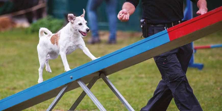 Agility: i comandi base