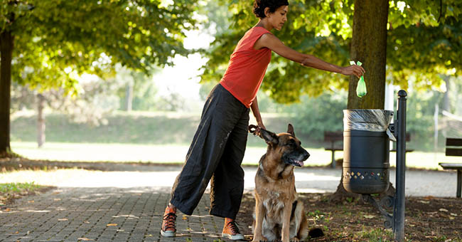 10 ragioni per preferire il cane al gatto