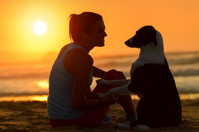 10 ragioni per preferire il cane al gatto