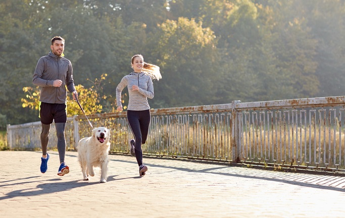 10 ragioni per preferire il cane al gatto