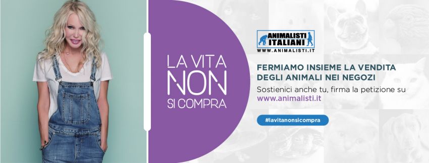 Petizione di Animalisti Italiani: fermiamo la vendita degli animali nei negozi