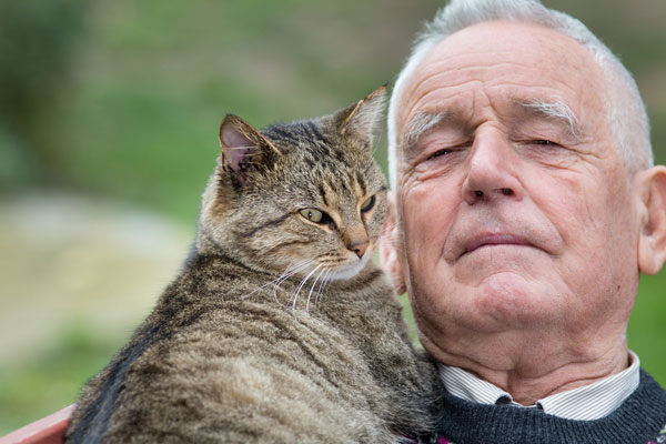 gatti meglio dei cani