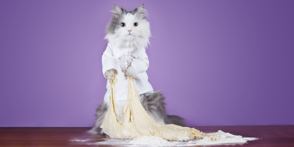 Perché i gatti fanno la pasta