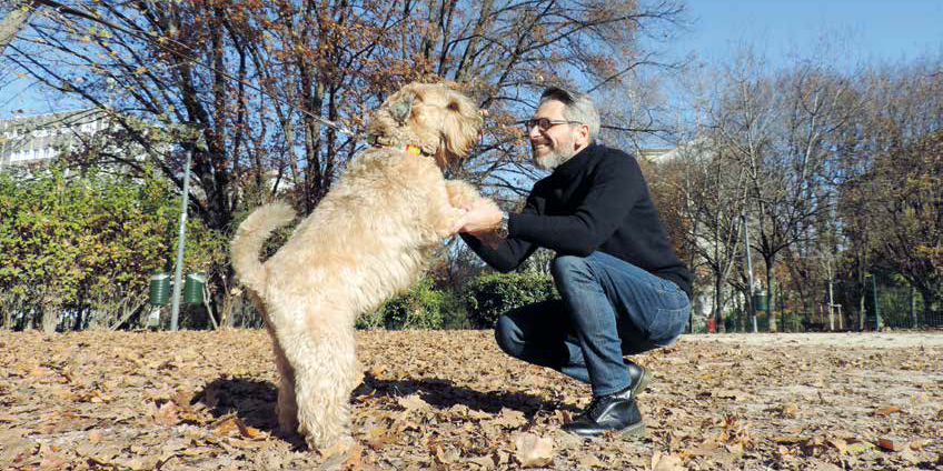 La storia di Murphy, un Irish Soft Coated Weathen Terrier