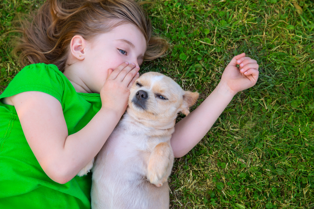 Dialogare con gli animali: favola e realtà?