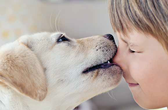 Abbraccio o non abbraccio il cane?