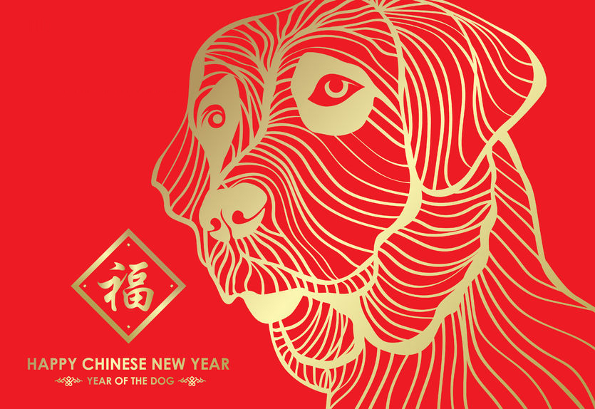 L'anno del cane in Cina