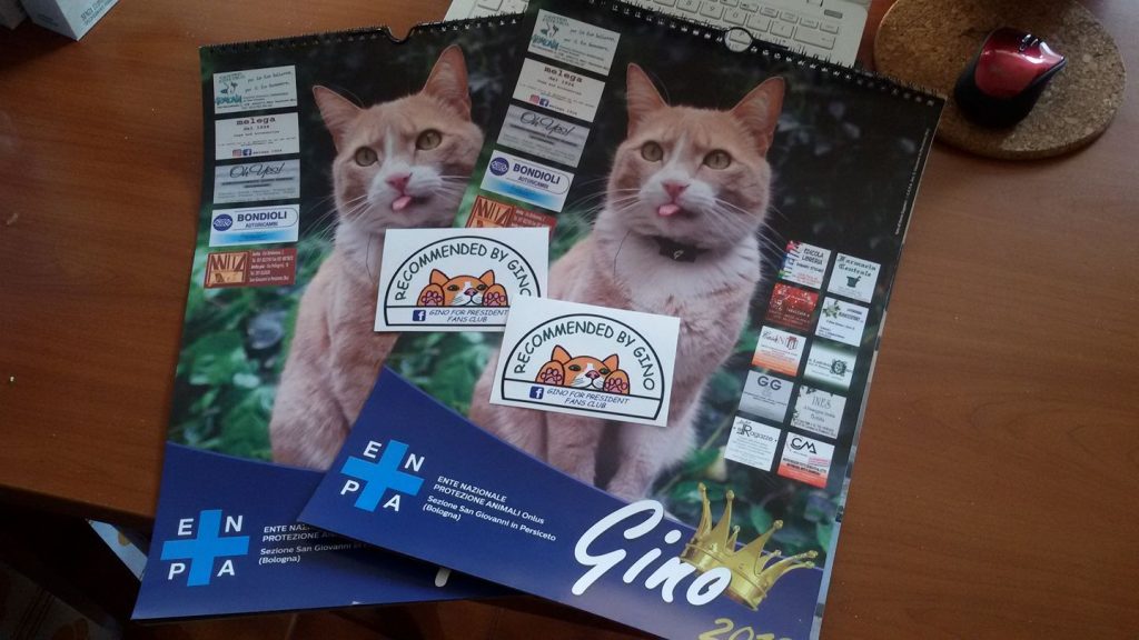 La storia di Re Gino, il sovrano felino di San Giovanni in Persiceto