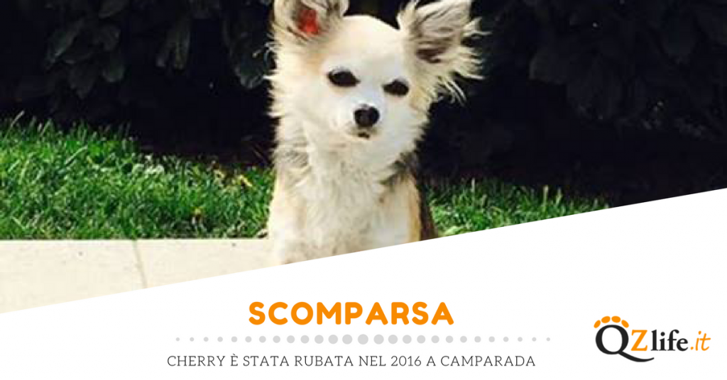 Cherry è scomparsa a Camparada