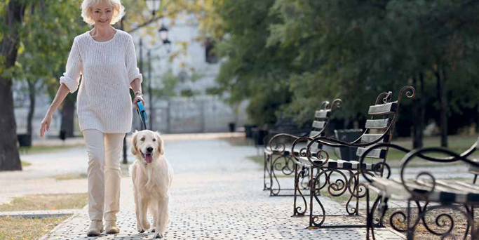 Le regole per passeggiare con il cane