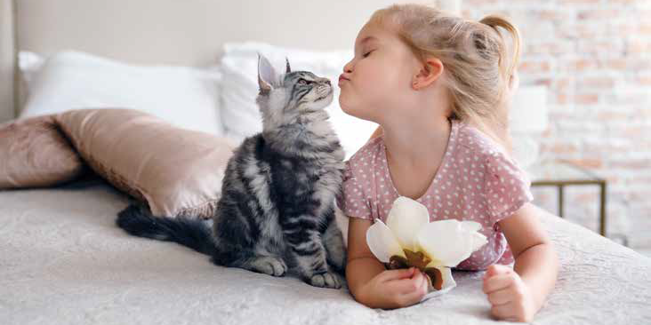 7 modi per dirti ti amo: i segnali di affetto del gatto