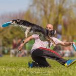 Campionato italiano di Disc Dog