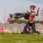 Campionato italiano di Disc Dog