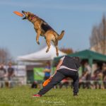 Campionato italiano di Disc Dog