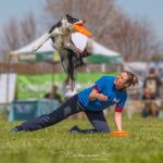 Campionato italiano di Disc Dog