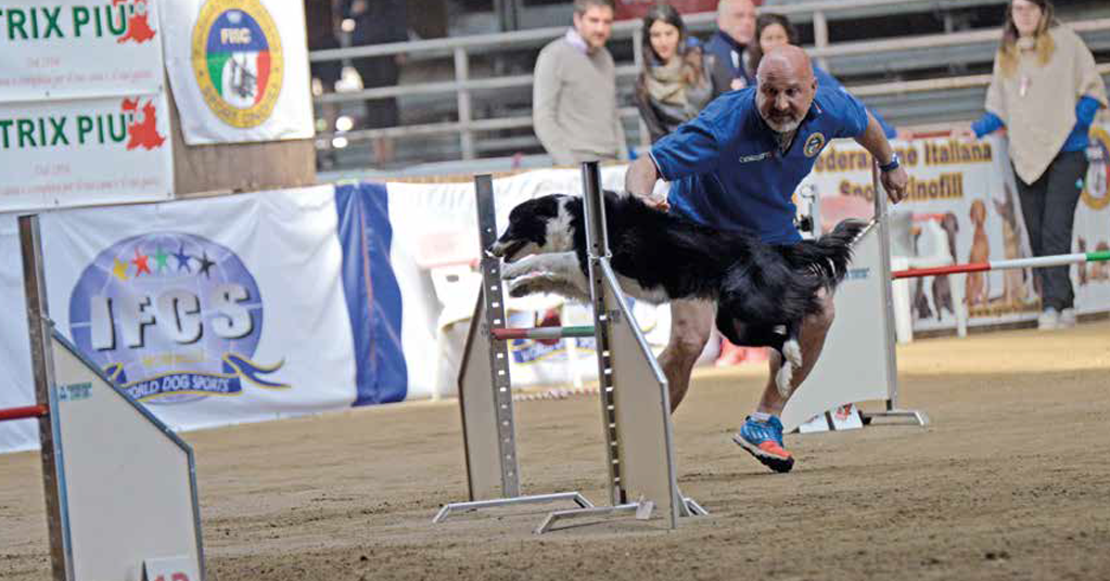 World Agility Championship dal 25 al 29 aprile a Milano