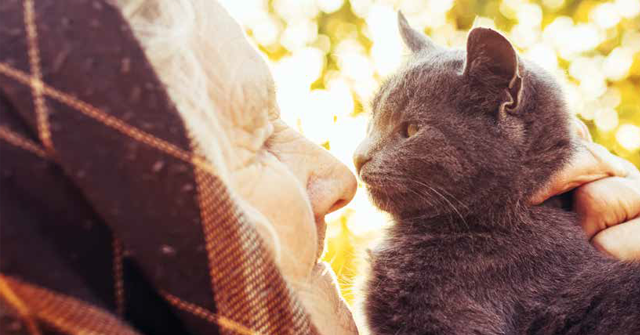 Animali eredi delle nostre proprietà terrene