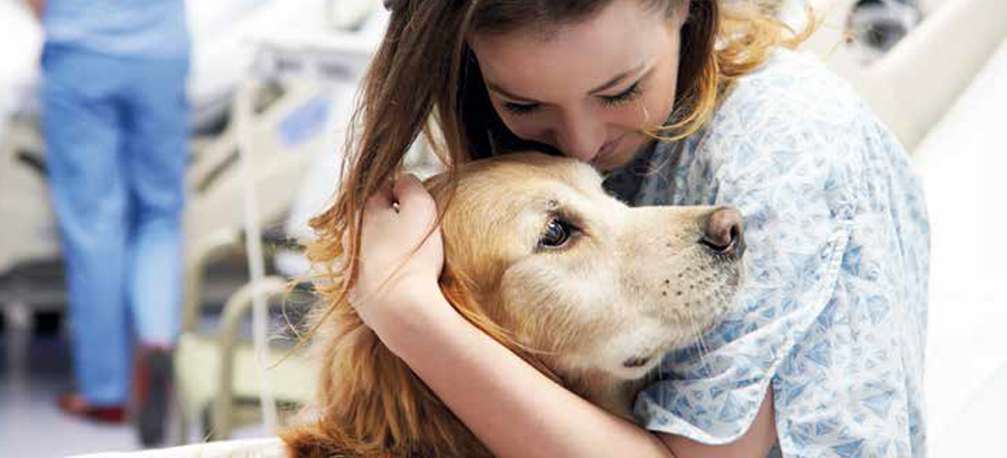 Il buon esempio degli ospedali lombardi per avere gli animali in corsia