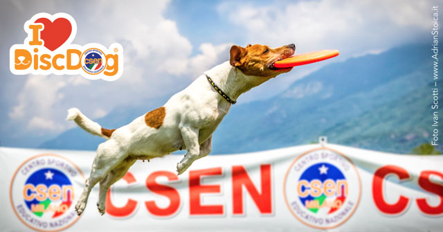 Campionato italiano di Disc Dog