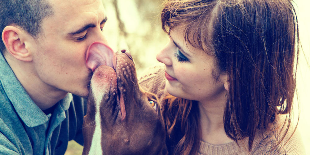 Studi dimostrano che il cane aiuta nelle conquiste amorose