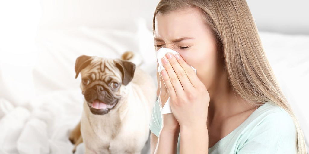 Come vivere con un gatto o un cane se si è allergici