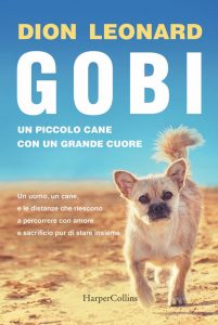 Dion e Gobi, l'amore nato nel deserto