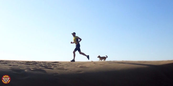 Dion e Gobi, l'amore nato nel deserto