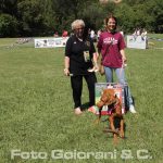 Il Dog Pride Day torna a Montecatini anche nel 2018