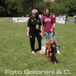 Il Dog Pride Day torna a Montecatini anche nel 2018