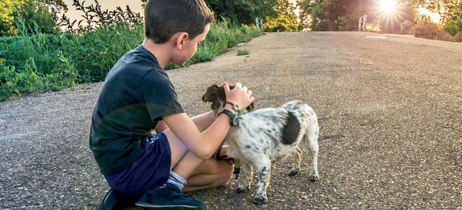 se trovo un cane cosa devo fare