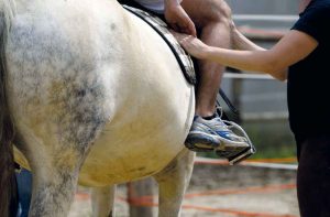 Riabilitazione equestre a Torino: la storia di Luigi