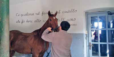 Riabilitazione equestre a Torino: la storia di Luigi