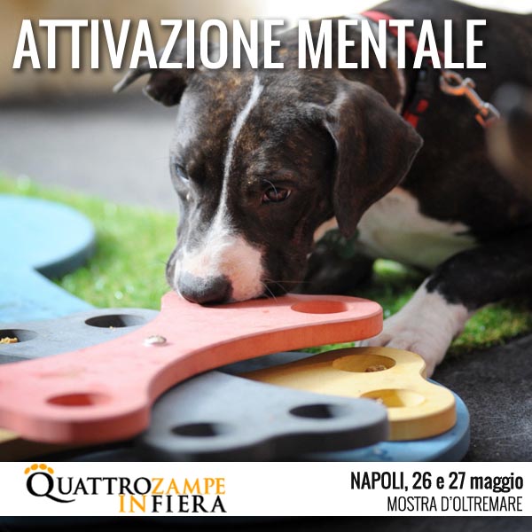 Quattrozampeinfiera a Napoli il 26 e 27 maggio 2018