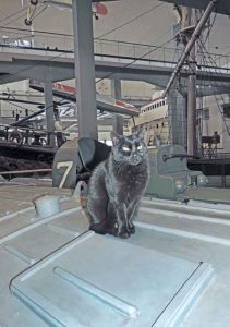 Enrica, la gatta del sottomarino Toti
