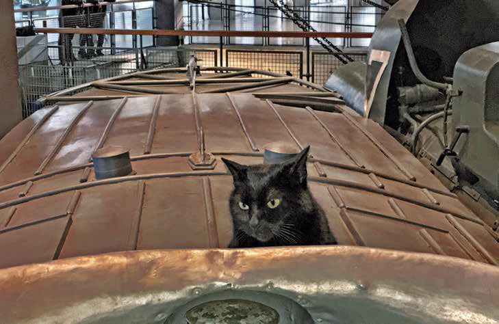 Enrica, la gatta del sottomarino Toti