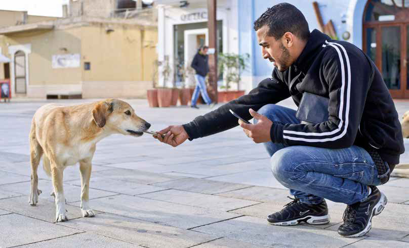 I cani di Lampedusa: Il cuore ha 4 zampe Onlus